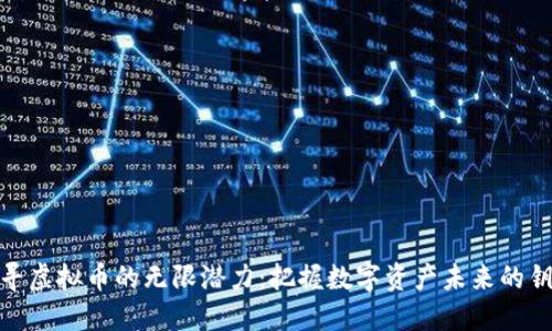 探寻虚拟币的无限潜力：把握数字资产未来的钥匙