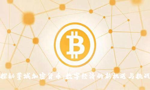 探秘藁城加密货币：数字经济的新机遇与挑战
