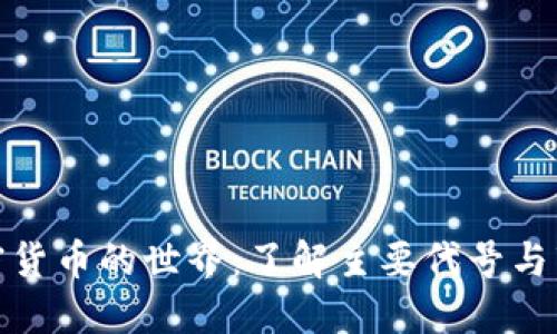 进入加密货币的世界：了解主要代号与市场价值