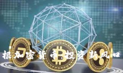 探索美国摩根加密货币:投资新风口与风险并存