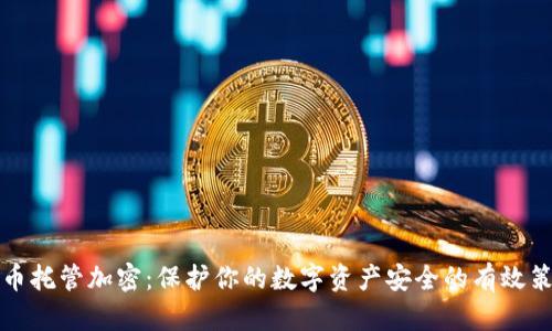 货币托管加密:保护你的数字资产安全的有效策略