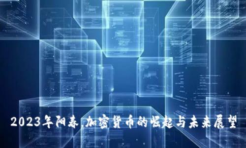 2023年阳春,加密货币的崛起与未来展望