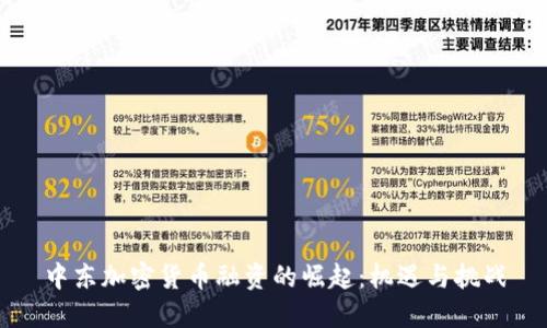 中东加密货币融资的崛起：机遇与挑战