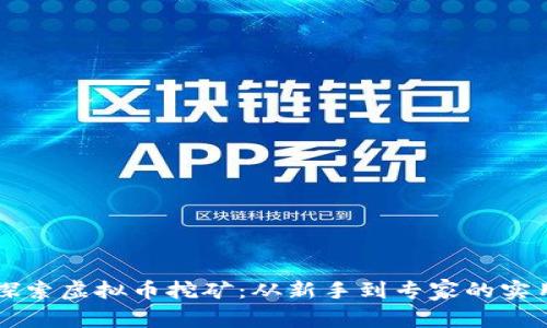 深入探索虚拟币挖矿:从新手到专家的实用指南
