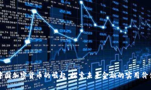 中国加密货币的崛起:探索未来金融的实用价值