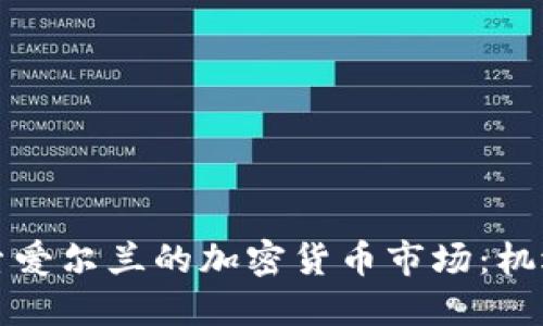 深入探索爱尔兰的加密货币市场:机遇与挑战